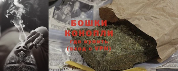 ECSTASY Гусев