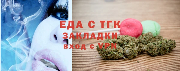индика Гусиноозёрск