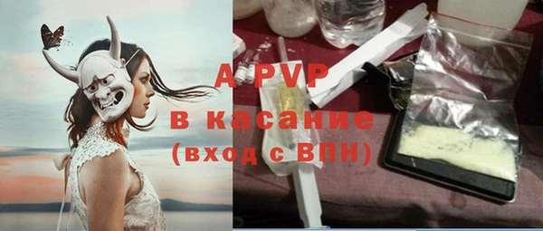 индика Гусиноозёрск