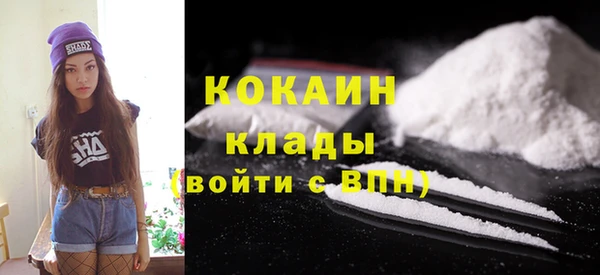 индика Гусиноозёрск