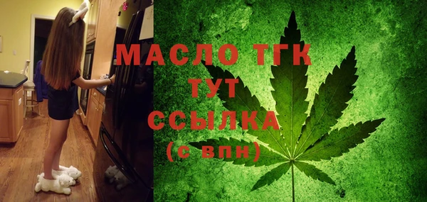 индика Гусиноозёрск