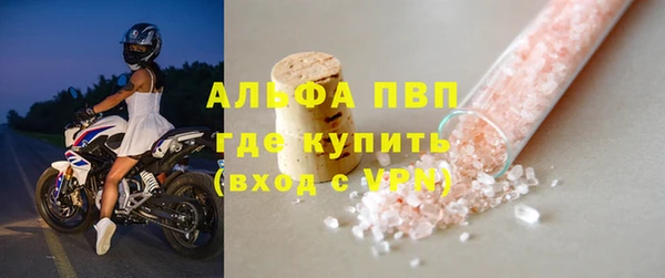 ECSTASY Гусев
