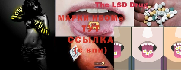 индика Гусиноозёрск