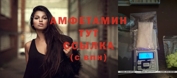индика Гусиноозёрск
