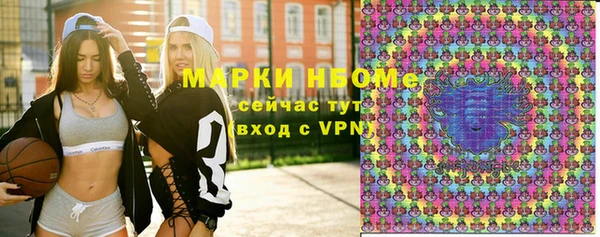 индика Гусиноозёрск