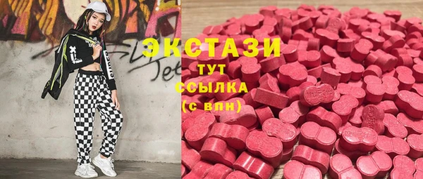 ECSTASY Гусев