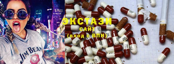 индика Гусиноозёрск
