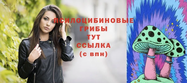 а пвп мука Гусь-Хрустальный