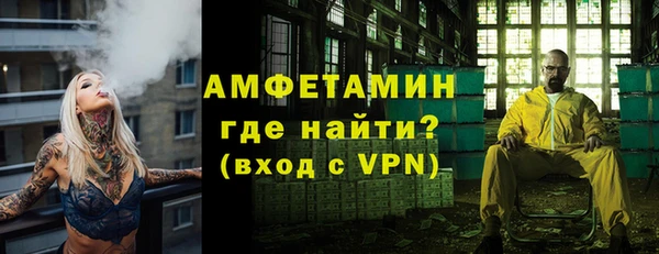 индика Гусиноозёрск
