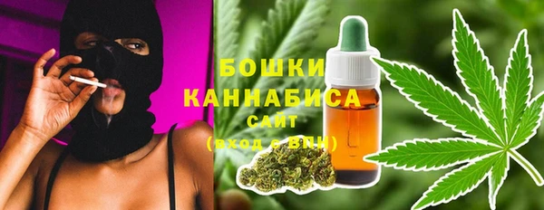 ECSTASY Гусев