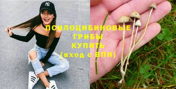 индика Гусиноозёрск