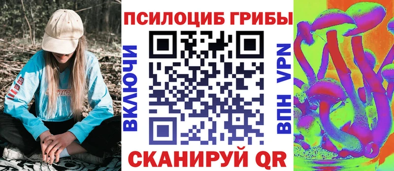 Купить где Нюрба Галлюциногенные грибы мицелий